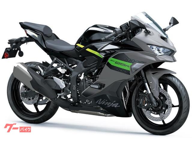 Ｎｉｎｊａ　ＺＸ−２５Ｒ　ＳＥ　２０２６年モデル　ＡＢＳ／クイックシフター／スリッパークラッチ