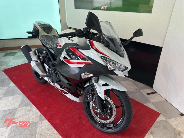 Ｎｉｎｊａ　４００　パールロボティックホワイト・メタリックマグネティックダークグレー