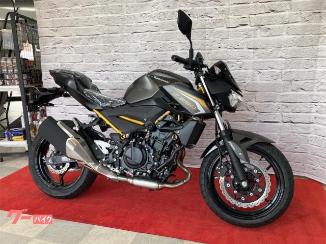 Z250 2027年モデル