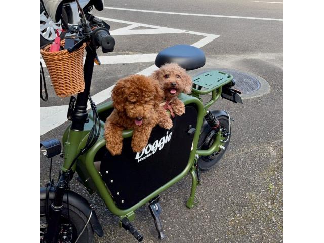ドギー E－CarryBike Doggie｜バイクサポート宮崎（有