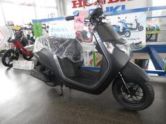 ホンダ　ダンク　マットカラー