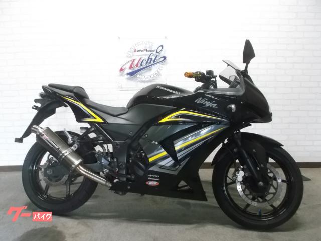 Ｎｉｎｊａ　２５０Ｒ　ヨシムラサイレンサー　社外リヤサス