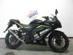 カワサキ　Ｎｉｎｊａ　２５０Ｒ　ヨシムラサイレンサー　社外リヤサス