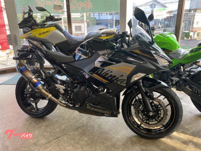 Ｎｉｎｊａ　２５０　ビームスマフラー付