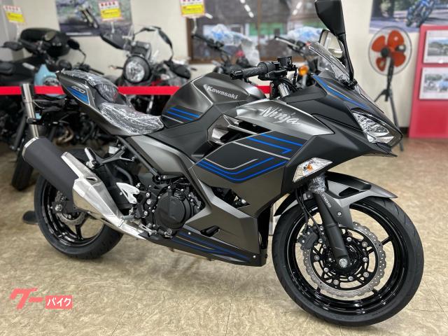 Ｎｉｎｊａ　４００　２０２５年モデル
