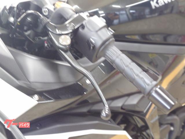 カワサキ Ninja ZX－4R SE 最新モデル パールロボ