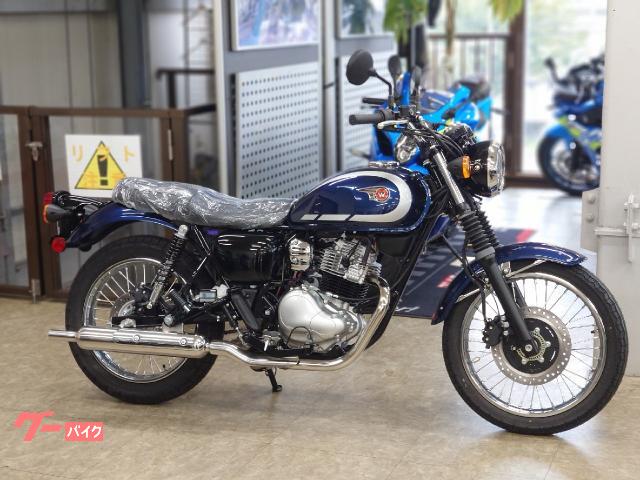 Ｗ２３０　メタリックオーシャンブルー　エボニー