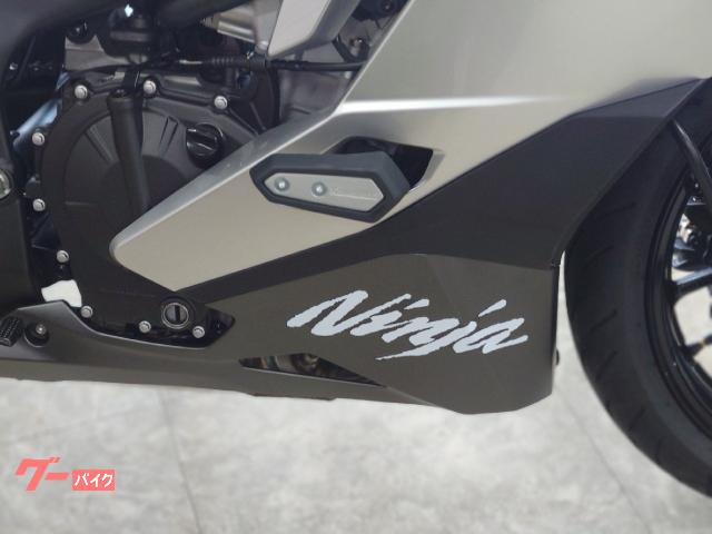 カワサキ Ninja ZX－4R SE ギャラクシーシルバー｜バイク