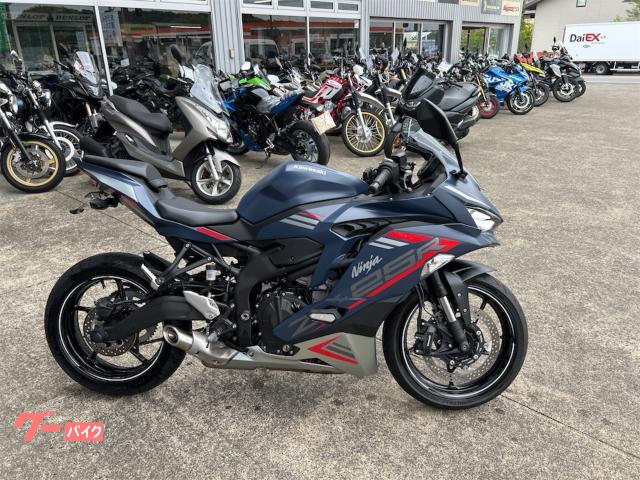 Ｎｉｎｊａ　ＺＸ−２５Ｒ　ＳＥ