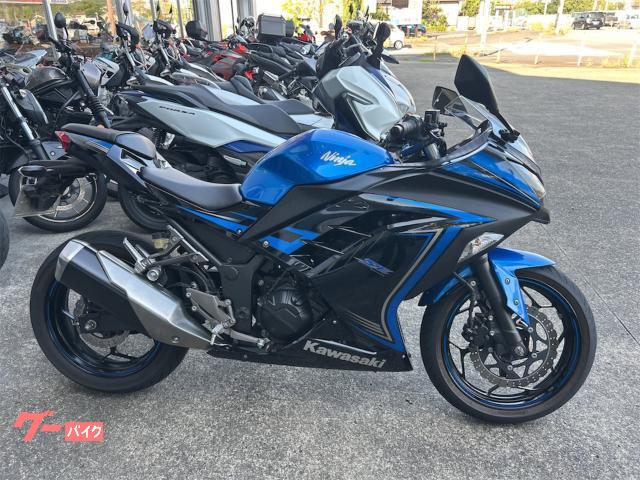 Ｎｉｎｊａ　２５０