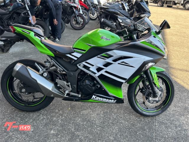 Ｎｉｎｊａ　２５０