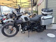 ＲＯＹＡＬ　ＥＮＦＩＥＬＤ　ヒマラヤ