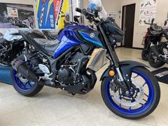 ヤマハ　ＭＴ−０３（３２０ｃｃ）　ＲＨ２１Ｊ