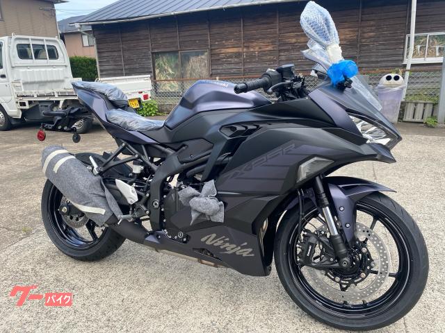 Ｎｉｎｊａ　ＺＸ−２５Ｒ　ＳＥ