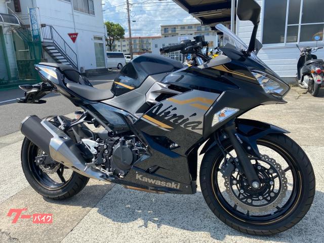 Ｎｉｎｊａ　２５０