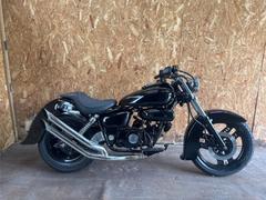 ホンダ　ＭＡＧＮＡ　ＦＩＦＴＹ　エスカルゴフェンダー　マフラー