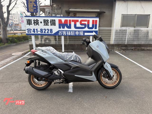 Ｘ−ＭＡＸ２５０
