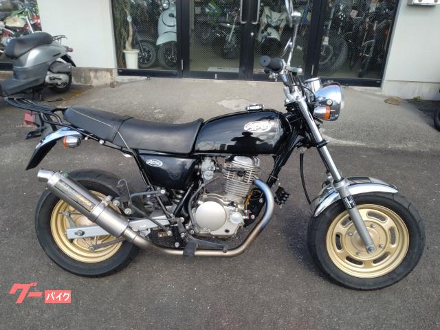 Ａｐｅ１００ＤＸ