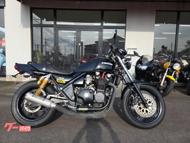 ＺＥＰＨＹＲ１１００