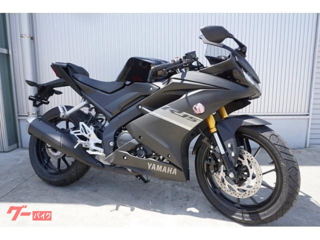 ヤマハ ＹＺＦ－Ｒ１５ Ｖ３ 輸入モデル ＶＶＡ搭載水冷エンジン 倒立