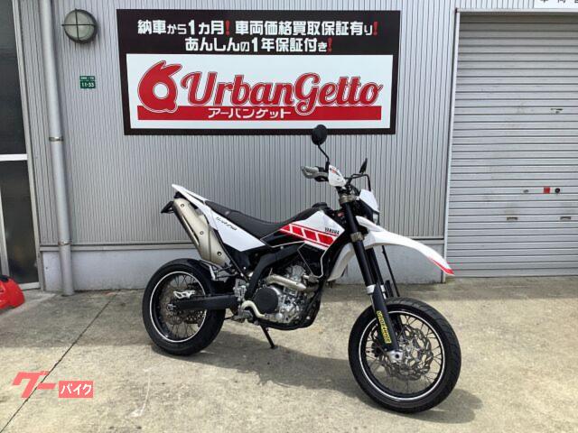 ＷＲ２５０Ｘ　ＤＧ１５Ｊ型　水冷４ストシングル　ＦＩ　ナックルガード　フェンダーレス　社外ウィンカー