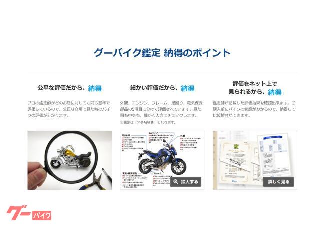 カワサキ Ninja 250 EX2050L型 水冷パラレル