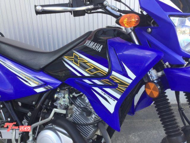 札幌★海外ヤマハ　XTZ125　3000キロ代　自賠責来年４月まで　ツーオーナー　フルサイズオフロード原付2種 ヤマハ XTZ125 フルサイズオフロード ノーマル リアキャリア