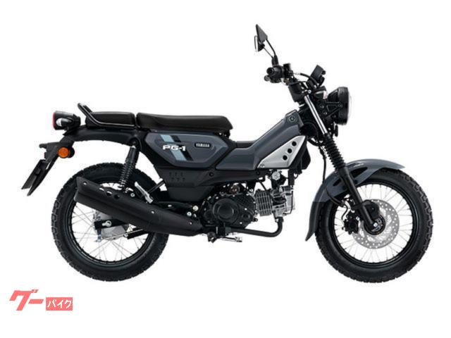 ＰＧ－１　ＡＢＳ　２年保証