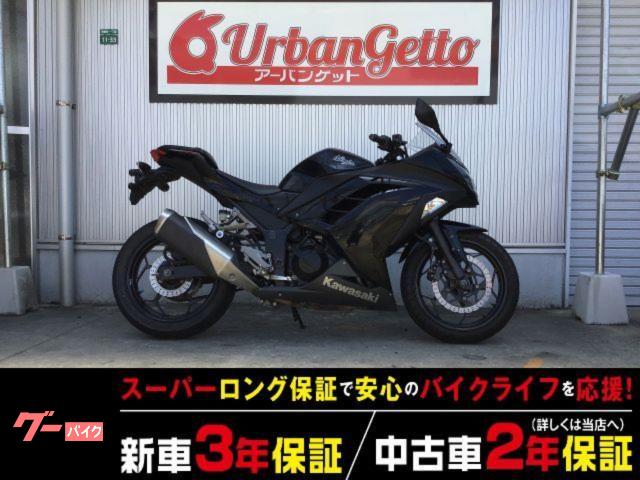 Ｎｉｎｊａ　２５０　４スト　ＦＩ　単眼ヘッドライト