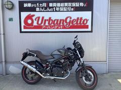 ホンダ　ＶＴＲ２５０　タイプＬＤ　プロスマンエンジンガード　モリワキフルエキ　スクリーン　コワースチェーンケース　グラブバー