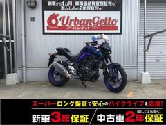 ヤマハ　ＭＴ−２５　ＲＧ７４Ｊ型ＬＥＤライト　インジェクション　水冷パラレルツイン　倒立フォーク　ＡＢＳ