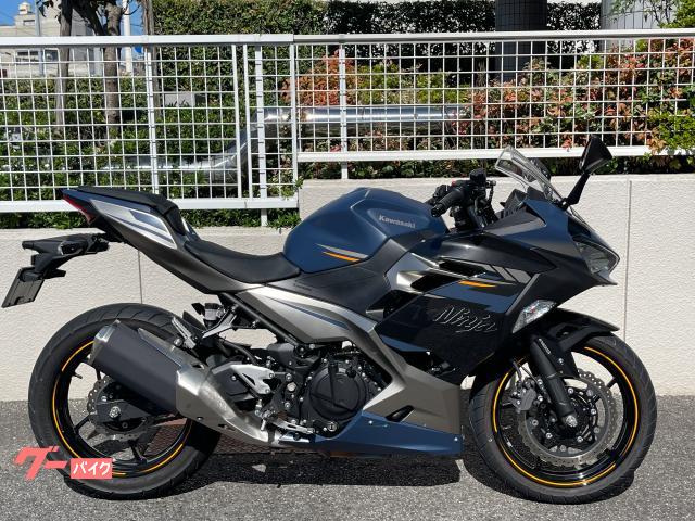 Ｎｉｎｊａ　２５０