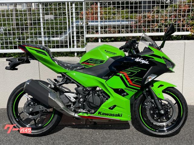 Ｎｉｎｊａ　２５０　ＫＲＴ　２０２４ＭＹ　ＬＡＳＴＯＮＥ