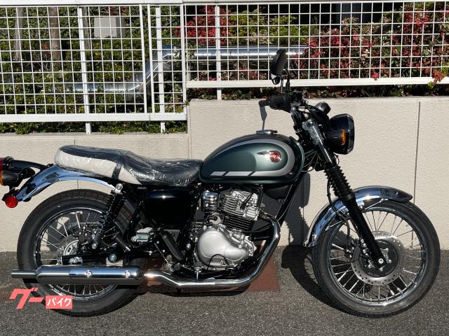 Ｗ２３０　２０２６ＭＹ　メタリックマットダ−クグリ−ン　ＡＢＳ