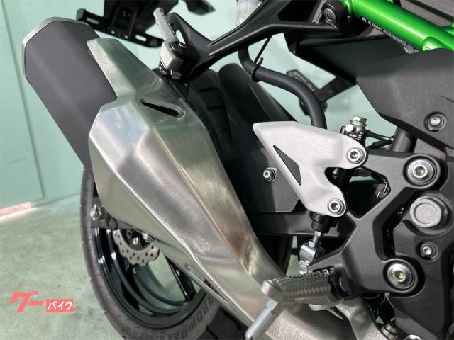 カワサキ Z250 2024年モデル 自賠責保険1年付|バイク カワサキ Z250 2024年モデル 自賠責保険1年付|バイク