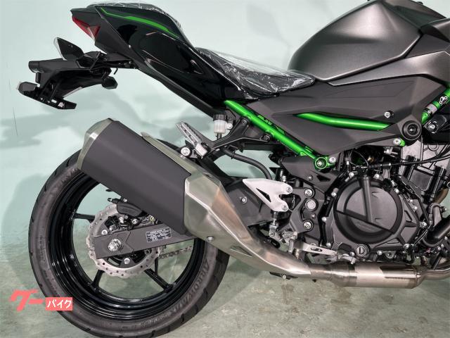 カワサキ Z250 2024年モデル 自賠責保険1年付き｜バイク