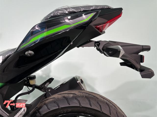 カワサキ Z250 2024年モデル 自賠責保険1年付｜バイク