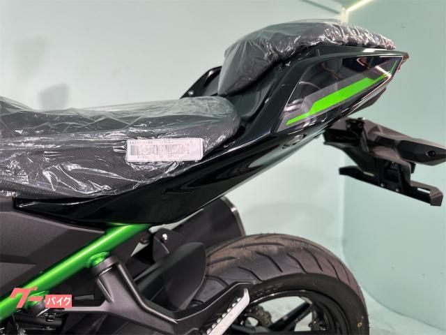 カワサキ Z250 2024年モデル 自賠責保険1年付|バイク カワサキ Z250 2024年モデル 自賠責保険1年付|バイク
