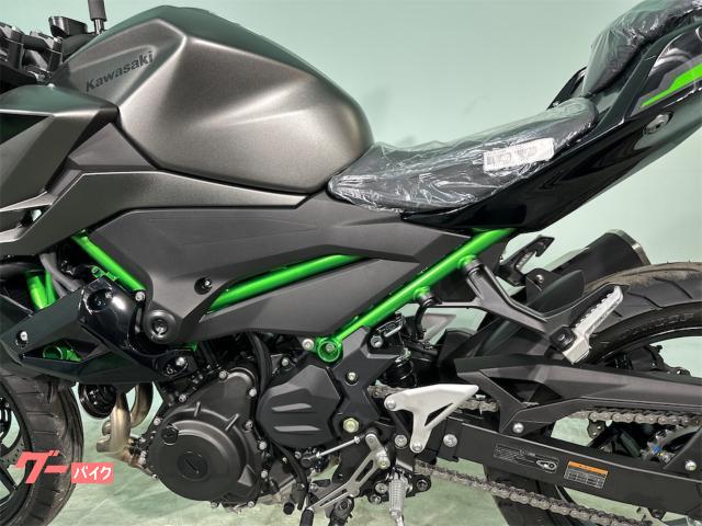 カワサキ Z250 2024年モデル 自賠責保険1年付き｜バイク