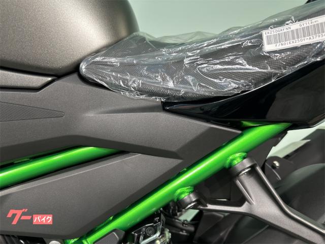 カワサキ Z250 2024年モデル 自賠責保険1年付き｜バイク