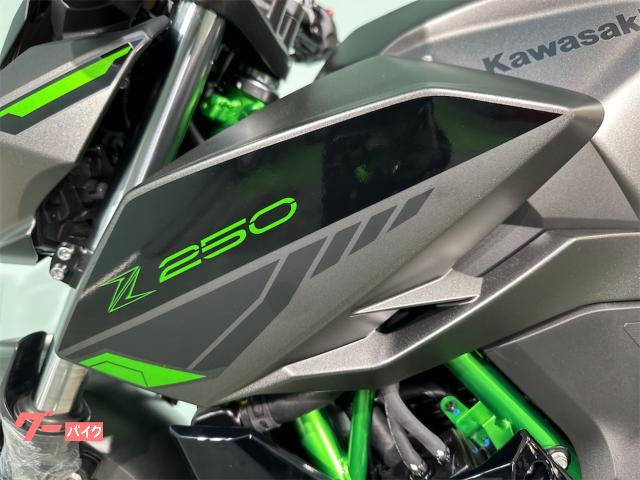 カワサキ Z250 2024年モデル 自賠責保険1年付き｜バイク