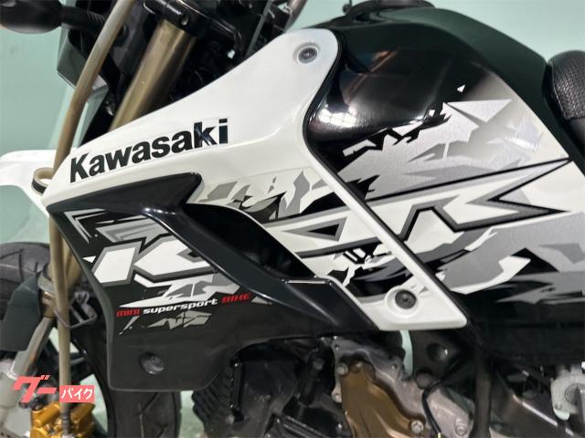 カワサキ KSR110 KL110D型 マフラーカスタム 自賠責保険1