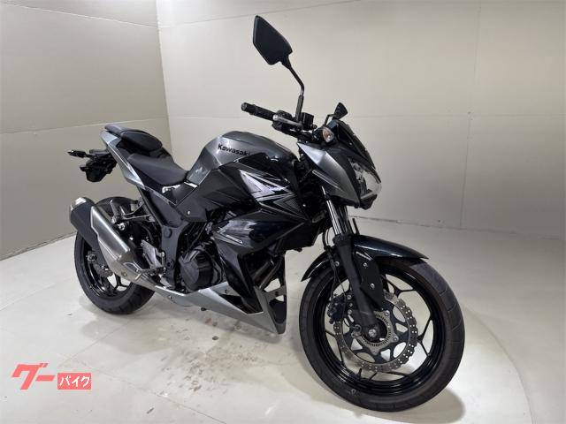 Ｚ２５０　２０１５年モデル