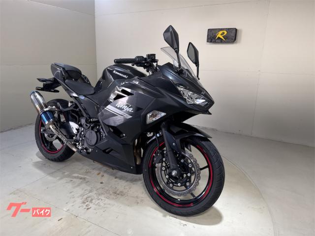 Ｎｉｎｊａ　２５０　逆車