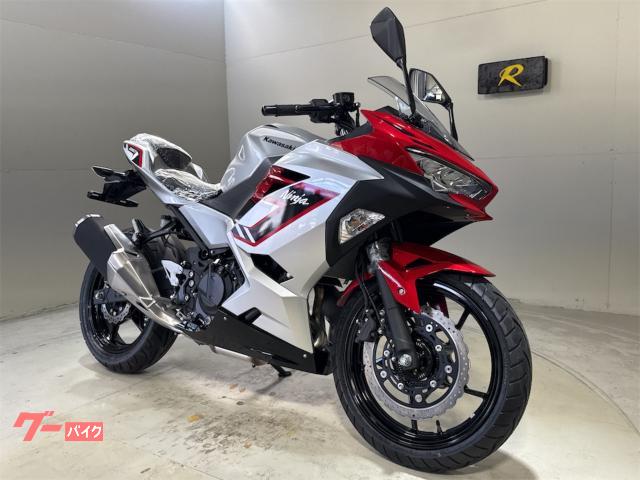 Ｎｉｎｊａ　２５０　２０２６年モデル