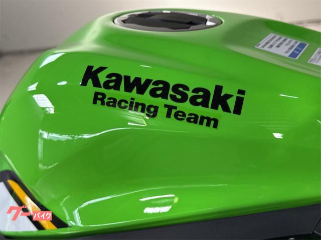 【R I様】専用・赤/緑、各360g≪フォロー割特価≫ 車両情報:カワサキ Ninja ZX−4RR | バイクショップアール | 中古