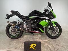 カワサキ　Ｎｉｎｊａ　２５０ＫＲＴ　エーディション　２０１６年モデル