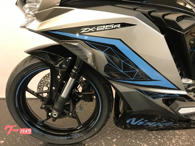 カワサキ Ninja ZX－25R SE 2024 メタリック