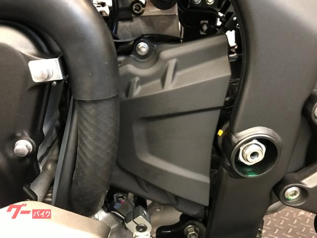 カワサキ Ninja ZX－25R SE 2024 メタリック