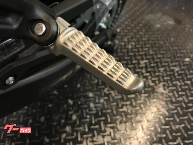 カワサキ Ninja ZX－25R SE 2024 メタリック